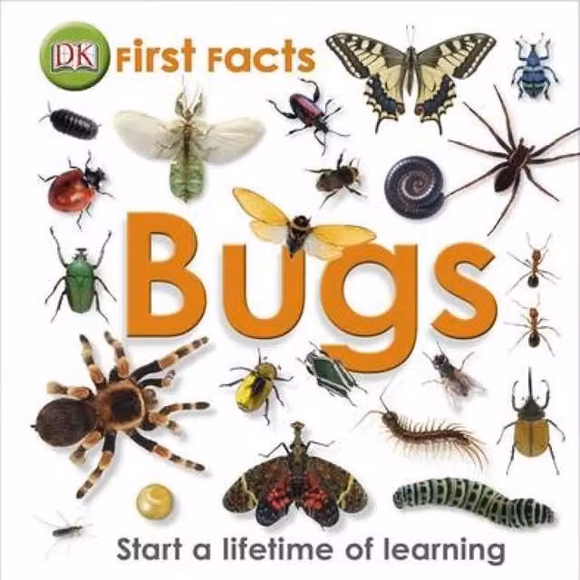 DK First Facts Bugs Hardback Book, Multicolour