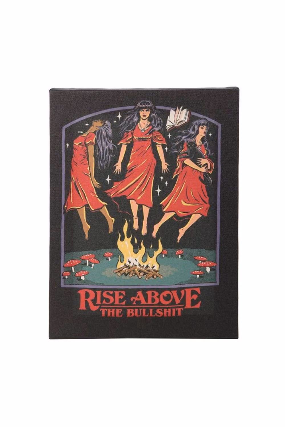 KDMD Rise Above the Canvas Retro Plaque by Steven Rhodes in Black, W: 19 cm, H: 25 cm – 2