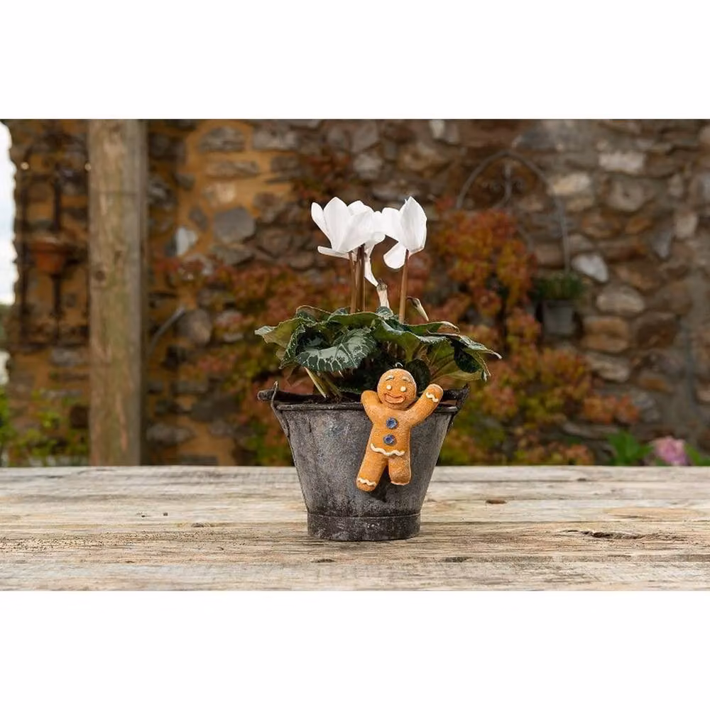 Jardinopia Gingerbread Man Pot Buddy in Orange and Multicolour, W: 6.5 cm, D: 1 cm, H: 3 cm – 2