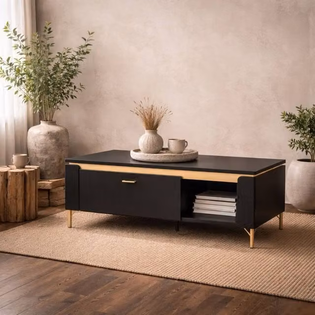 Wyld Haus Marslet Narrow Coffee Table in Black and Gold with 1 Drawer – 1