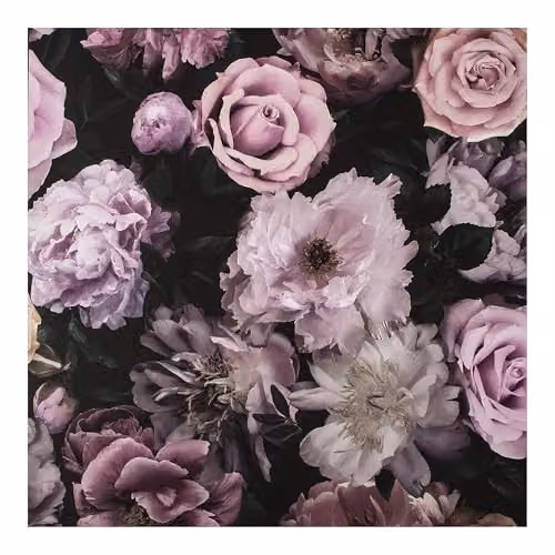 Fresco Pandor Drama Floral Wallpaper in Pink and Purple, Width: 52 cm – 5