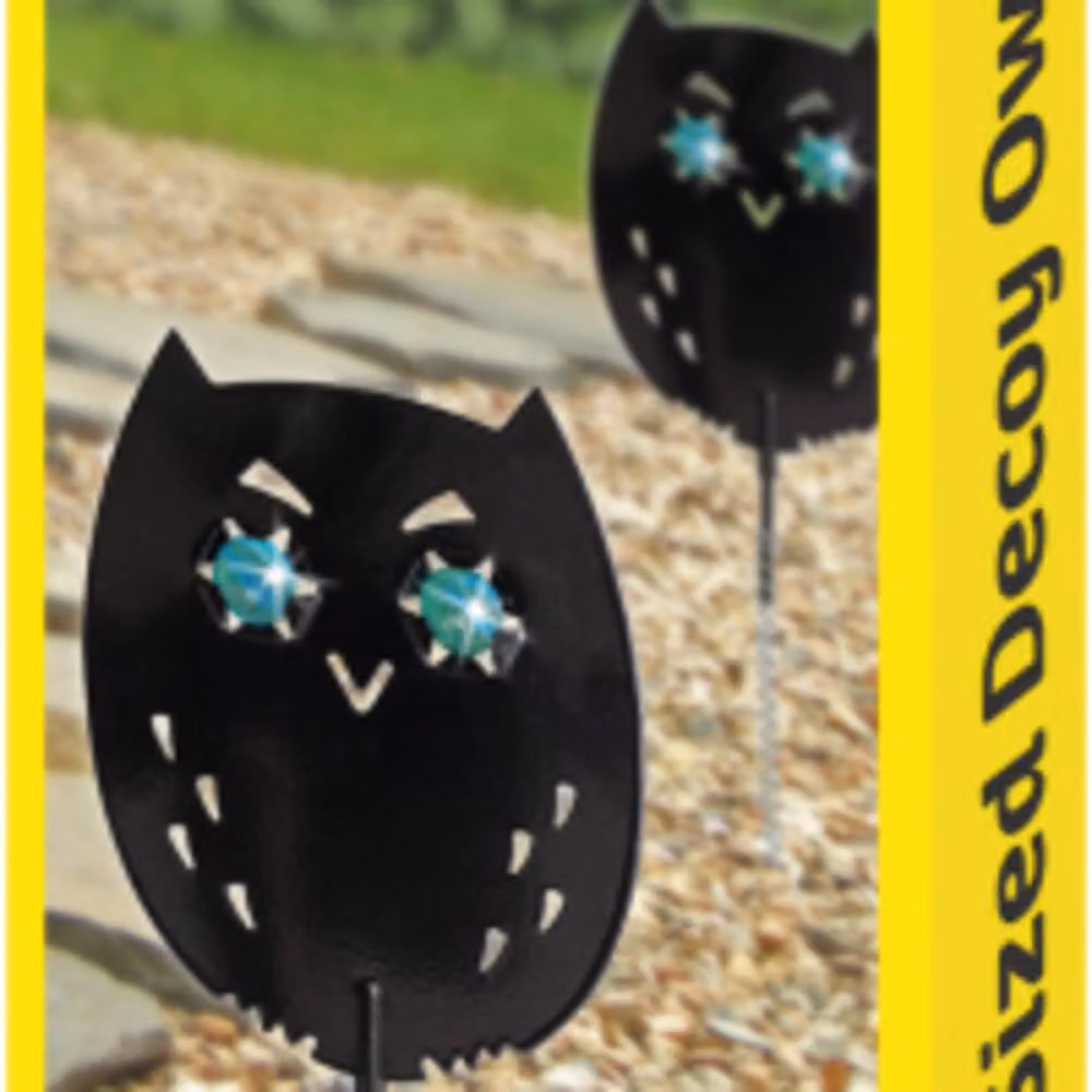 St Helens Home & Garden Life-Sized Decoy Owl with Reflective Eyes in Black, Pack of 4 – 4