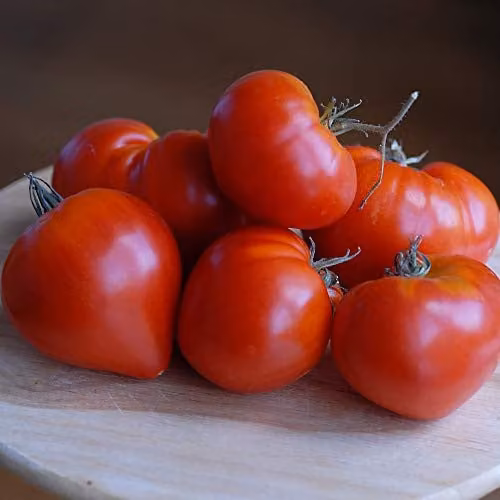 Thompson and Morgan Tomato Gourmandia F1 Hybrid Vegetable Seeds, 4 Seeds – 1