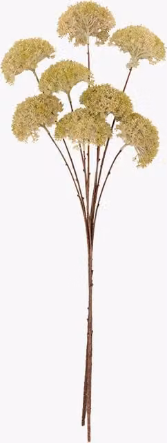 Perch & Parrow Faux Pom Pom Stems in White, Set of 3