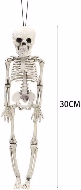 FLAVORA Poseable Full Life Size Human Skeleton in White, H 100 cm x W 15 cm