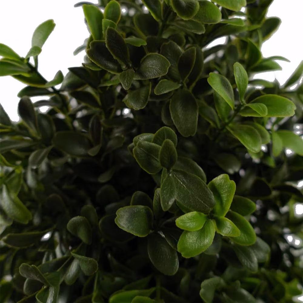 Botanik Leaf Pair of Green Spiral Boxwood Artificial Trees, UV Resistant, Height: 120 cm, Width: 40 cm, Depth: 40 cm – 3