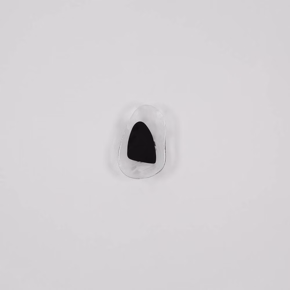 Netlighting Dorsey Integrated LED Wall Lamp in Matt Black with Clear Glass Shade, Warm White 3000K – 4