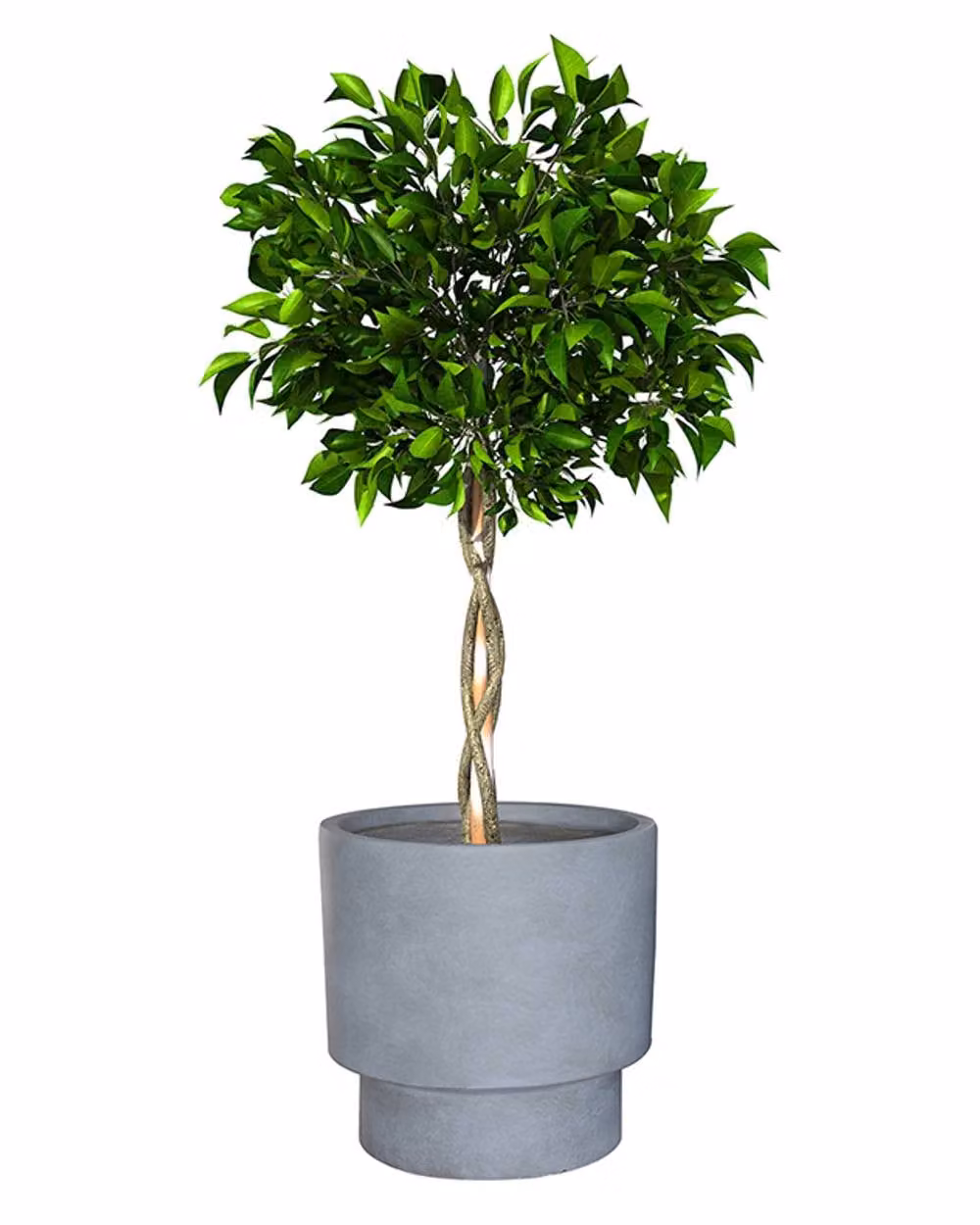 Dibor Medium Light Grey Fibre Clay Indoor Outdoor Garden Planter, H: 30 cm, Dia: 30 cm – 2