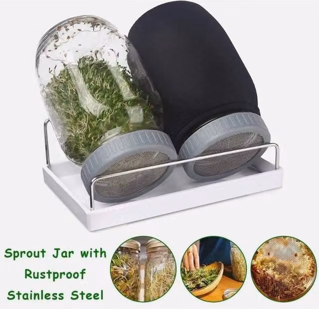 EONLION 2-Piece Seed Sprouting Jar Kit with Glass Jars, Stainless Steel Stand and Tray in Transparent – 1
