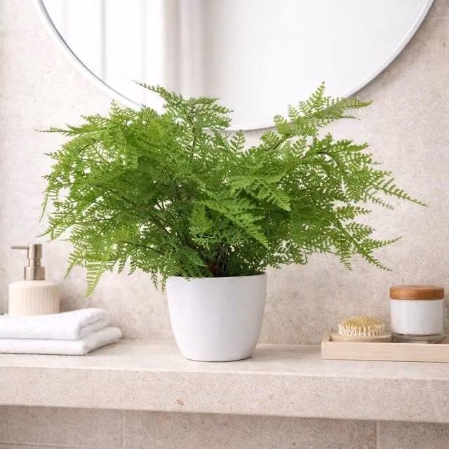 Botanik Premium Artificial Potted Lady Fern in Green, H 40 cm x W 30 cm x D 30 cm – 1
