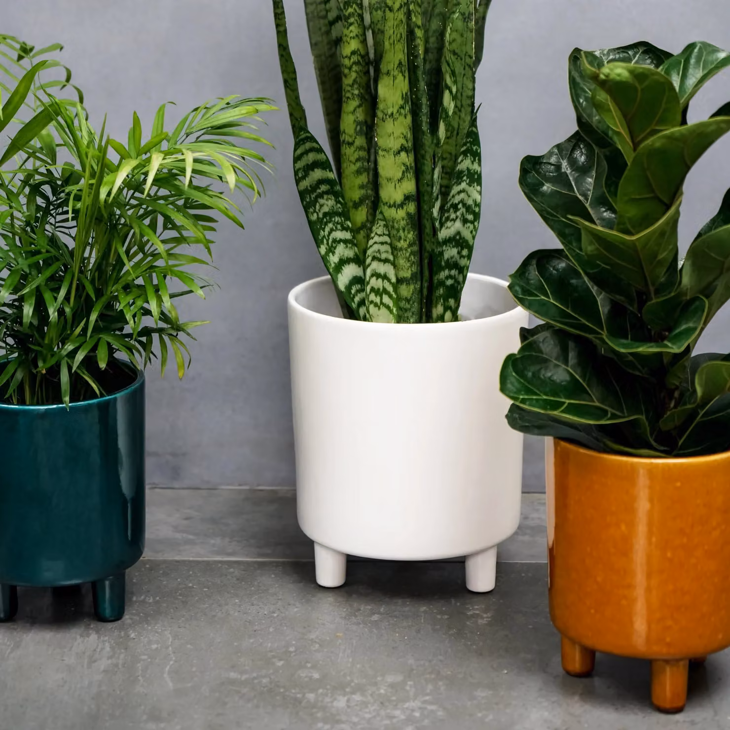 Ivyline Pisa White Ceramic Tabletop Planter, H: 24 cm, D: 20 cm – 4