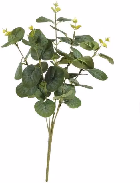 KDMD Essential Eucalyptus Bush, Green, 5 Pack