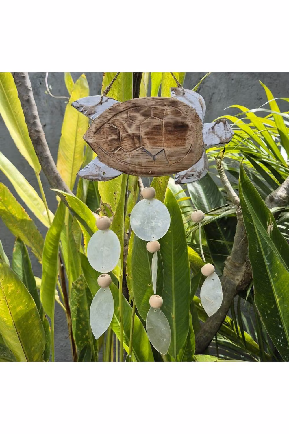 KDMD Whitewash and Natural Wood Turtle Carving Tabletop Figure – 2