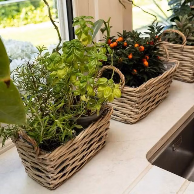 Madison & Mayfair Set of Three Brown Open Weave Wicker Baskets with Fabric Liners and Handles – 2