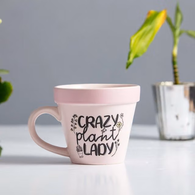 Boxer Gifts Crazy Plant Lady Plant-a-holic Ceramic Plant Pot Mug in Pink