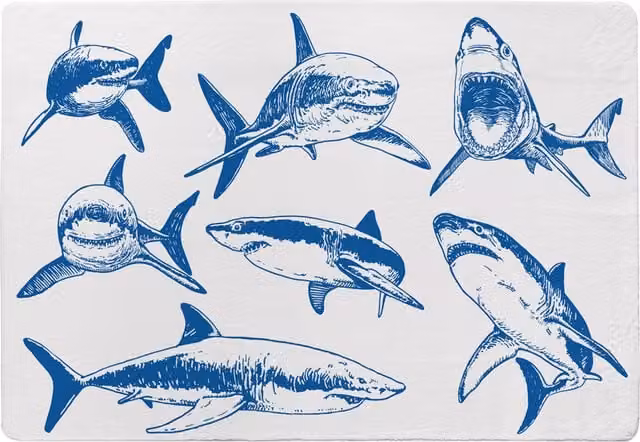 Benjamin Tate Design LTD Blue Shark Graphical Designer Wool Rug for Childrens Rooms, Blue and White, Width: 200 cm