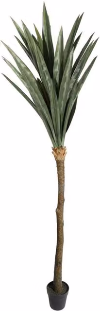 Botanica Yucca Tree in Green Pot