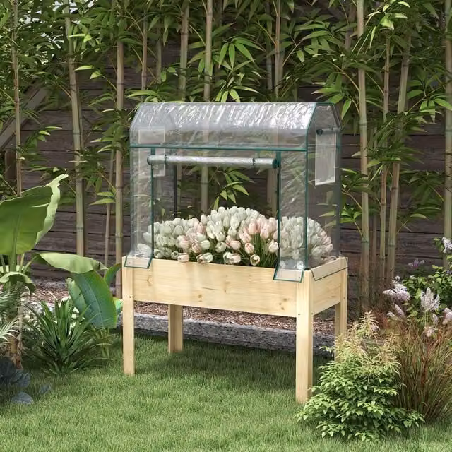 OUTSUNNY Wooden Raised Planter with Transparent PE Greenhouse Cover and Bed Liner – 1