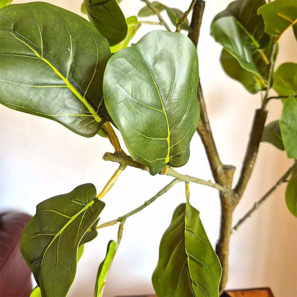 Voltico Artificial Fiddle Leaf Fig Tree in Green, Height: 90 cm – 5