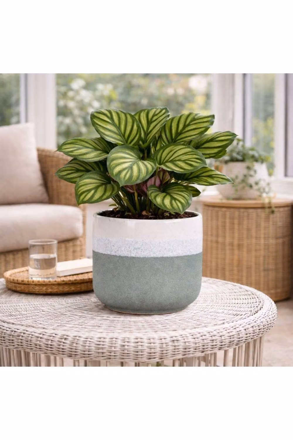 KDMD Hortus Green and White Bordeaux Ceramic Stoneware Pot, H 20 cm x Dia 22 cm – 3