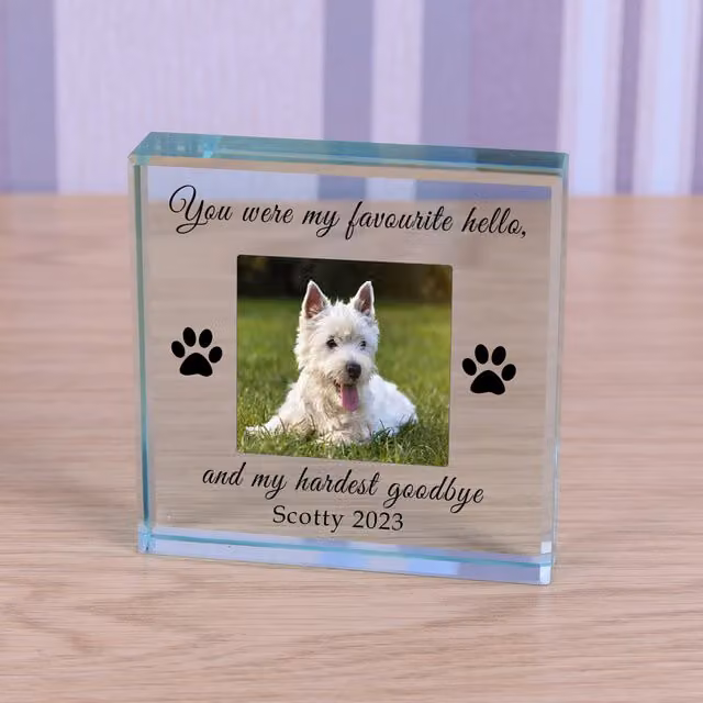 Uniqueful Personalised Favourite Hello Pet Memory Glass Token in Transparent and Beige