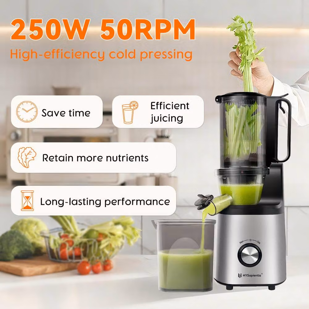 HYSapientia Compact Slow Masticating Juicer 250W 1.3 l in Silver – 2