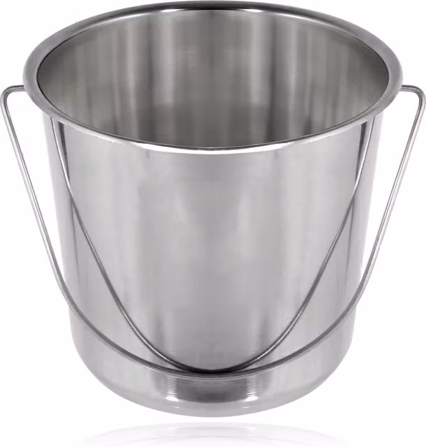SPARES2GO 12 Litre Stainless Steel Handled Pail Bucket in Silver
