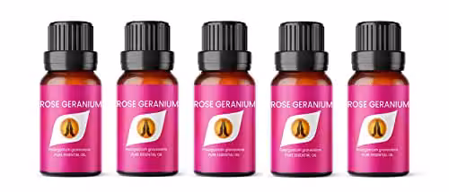 Aroma Energy Rose Geranium Pure Essential Oil, Pink, 5 x 10ml