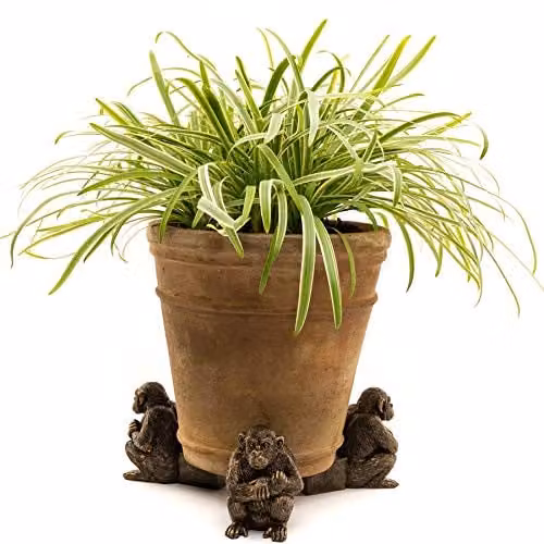 Potty Feet Chimpanzee Plant Pot Feet, Bronze, Set of 3, L9.5 x W6.5 x H9 cm – 1