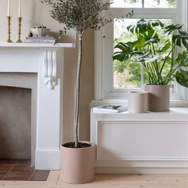 Ivyline Valetta Blush Terrazzo Planter Set of 3 in Light Pink