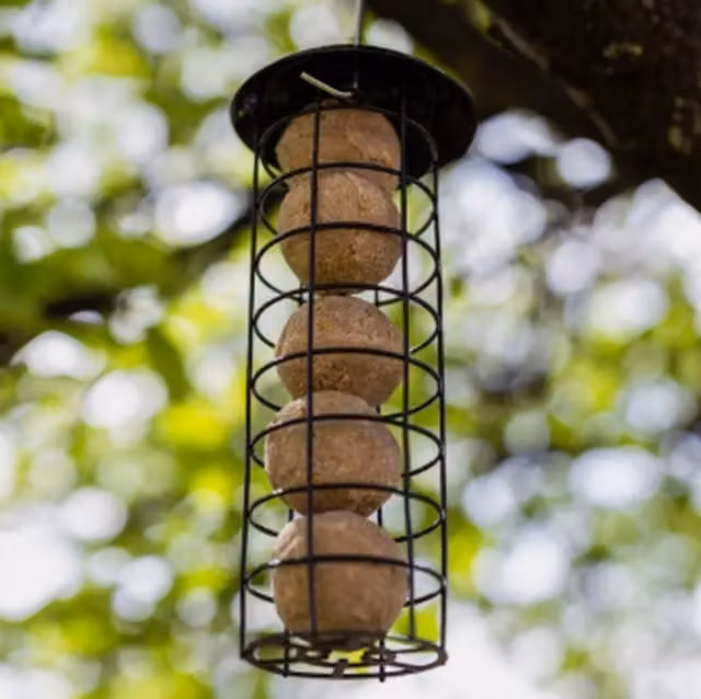 Garden Mile Hanging Fat Ball Bird Feeder in Black
