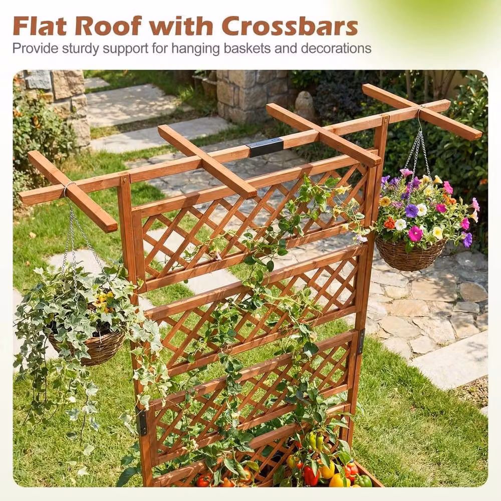 PAWNORA Brown Wooden Raised Bed for Vegetable and Herb Gardens – 8