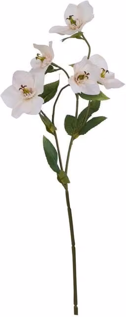 Hill Interiors The Natural Garden Collection Hellebore Artificial Flower in Green and White – 1