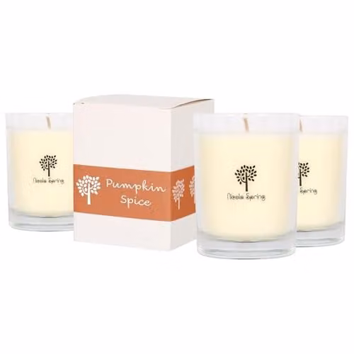 Nicola Spring Pumpkin Spice Scented Soy Wax Candles, Pack of 3, 160g Each – 1