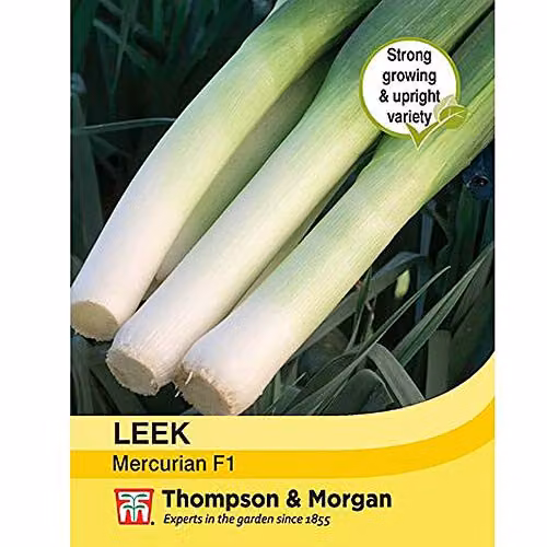 Thompson & Morgan Mercurian Leek Seeds for Autumn Cropping, 75 Seeds per Packet – 3