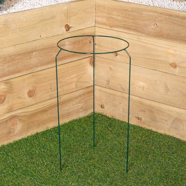Samuel Alexander Tom Chambers Urban Metal Herbaceous Garden Plant Support Ring, Dark Green, W: 30 cm, H: 50 cm