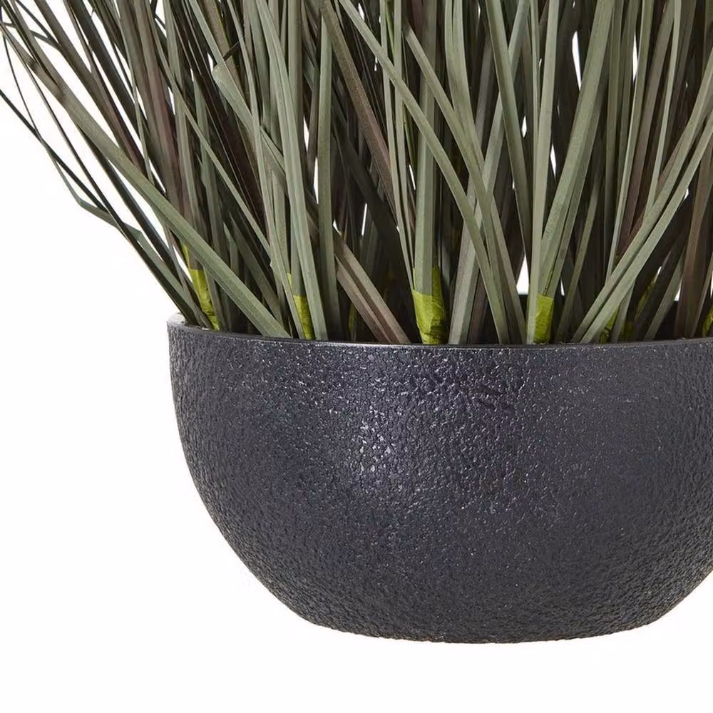 Lemon Pavilion Modern Potted Grass Plant in Black Pot, Green, Height: 50 cm – 4
