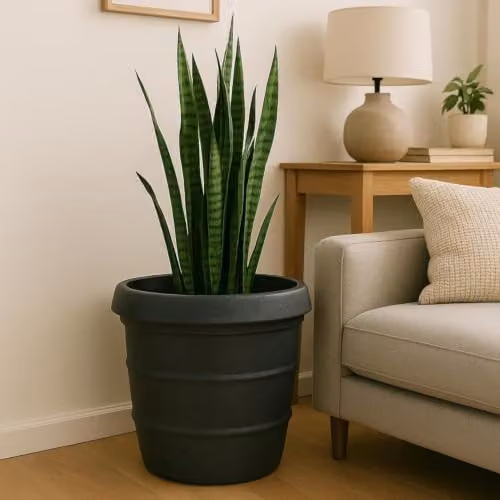 Trifibre Classic Roto Moulded Planter in Rust, 86cm – 4