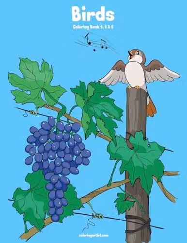 Birds Coloring Book 4, 5 & 6 by Createspace, Multicolour