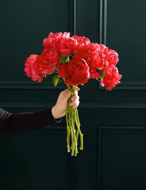 M&S Flower Market Red Peony Abundance Organic Floral Bouquet