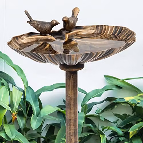 GardenKraft 23940 Clam Shell Design Bird Bath in Bronze Metal Effect, W/D/H: 80 x 52 x 36 cm – 3