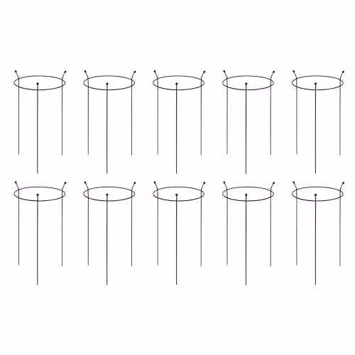 Samuel Alexander 10 Pack of Heavy Duty Steel Herbaceous Plant Support Rings in Black, H 60 cm x W 35 cm