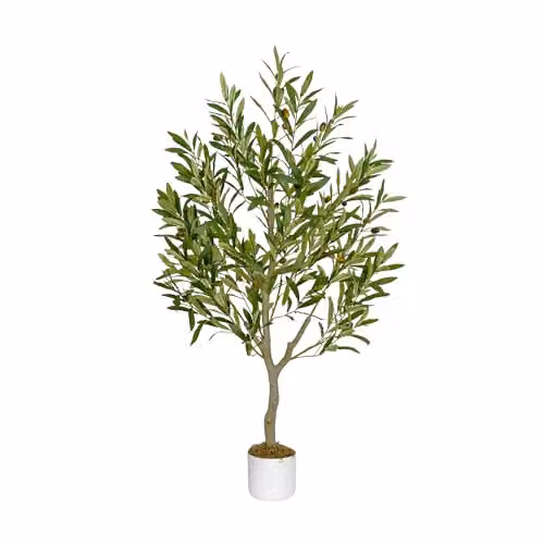 mcc direct Artificial Olive Tree in Green with Plastic Planter and Moss, Height: 100 cm