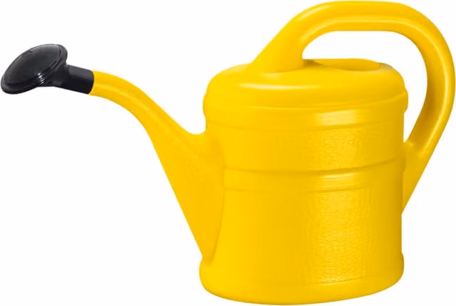 Green Wash Essential Indoor Watering Can with Rose in Yellow and Black Plastic
