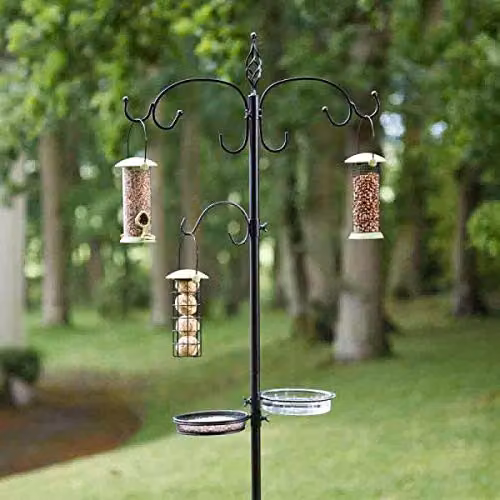Smart Garden Original Bird Feeder in Black