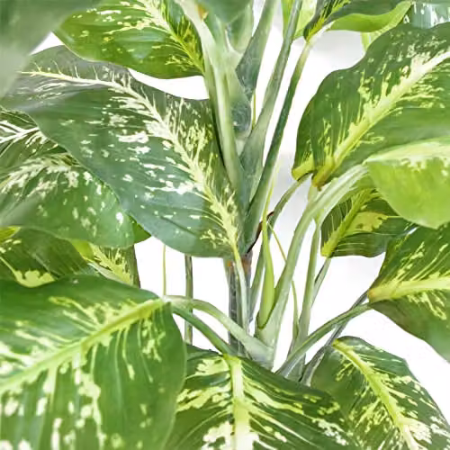 Large Fox Aglaonema Artificial Tree with Gold Metal Planter, Height: 100 cm – 4