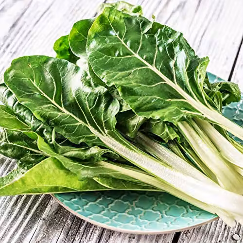 Thompson and Morgan Swiss Chard Fordhook Giant Vegetable Seeds, 300 Seeds