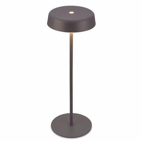 Briloner Rechargeable LED Table Lamp with Touch Dimming, IP44 Waterproof, Warm White Light, Anthracite, H 36.5 cm x W 13 cm x D 13 cm – 1