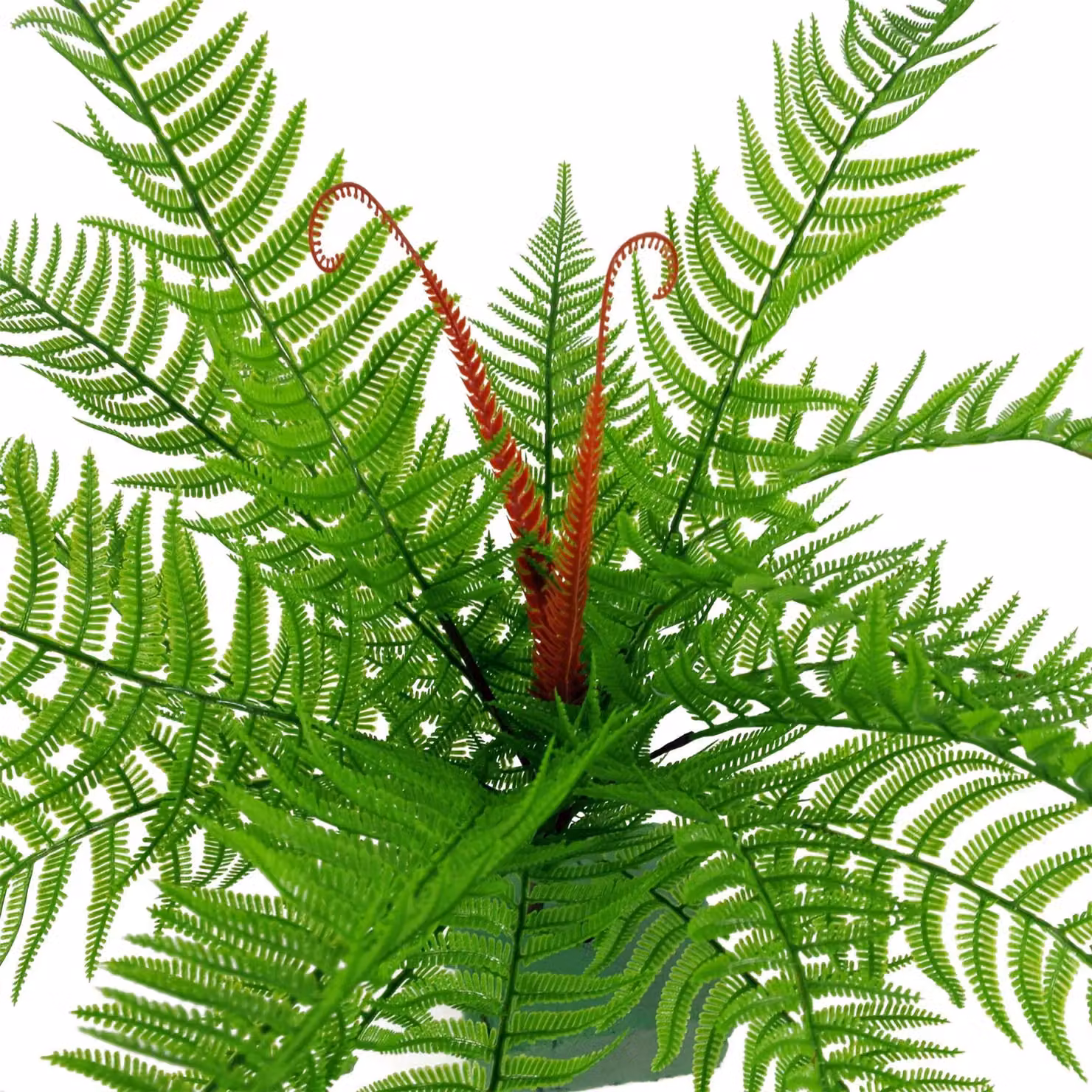 Leaf Design UK Artificial Bushy Dixie Wood Fern, Dark Green, Height: 60 cm – 2