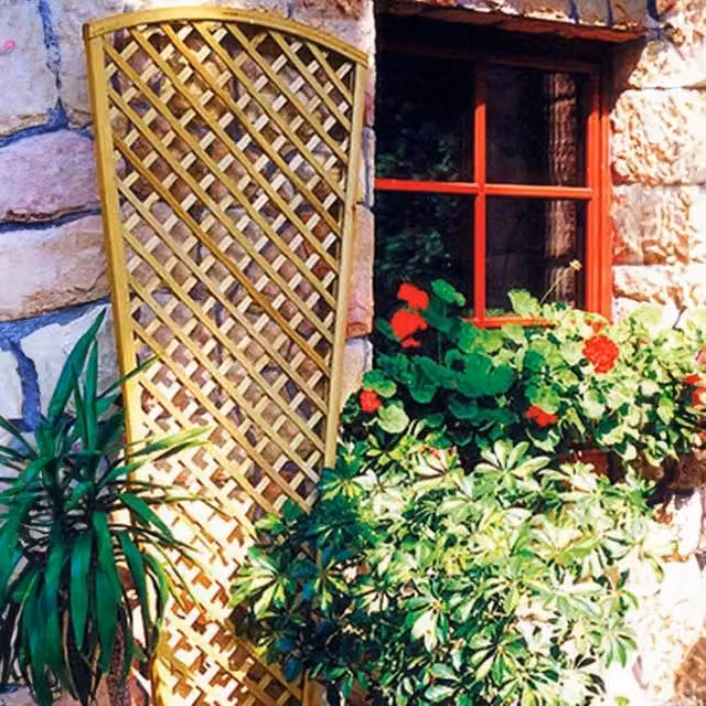 Primrose English Fan Design Wood Trellis in Sand, H 183 cm x W 80 cm – 1